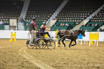 Midwestern Values, Customized Service, Quality Carriages.   Offering European made Poj-Kon horse & pony marathon, presentation, training, & commercial vehicles, & carts for all levels of carriage drivers. | Midwest Custom Carriages